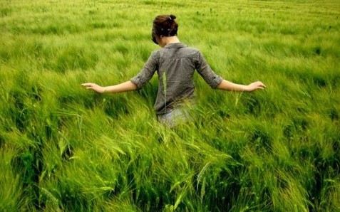 春之景，那年情